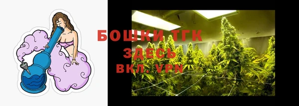 хмурый Кодинск