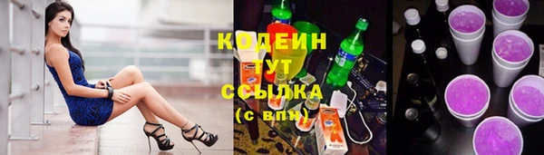 хмурый Кодинск