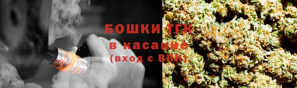хмурый Кодинск