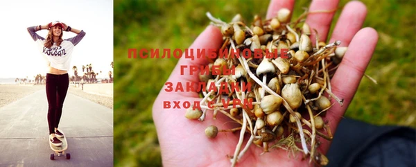 метамфетамин Козловка